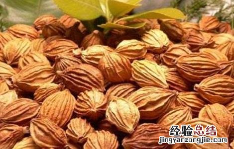 砂仁常见病虫害 砂仁常见病虫害及防治