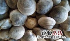紫石房蛤的营养价值 紫石房蛤有哪些营养价值