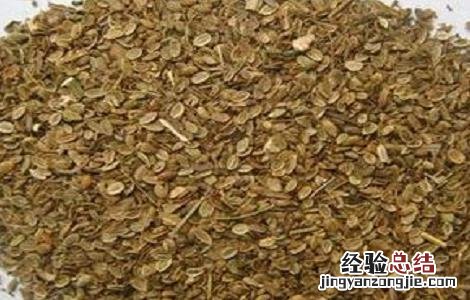 防风种植的注意事项 防风种植的注意事项有哪些