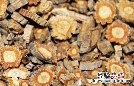 防风种植的注意事项 防风种植的注意事项有哪些
