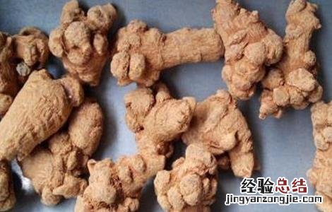 2018三七种植前景如何 三七种植效益怎么样