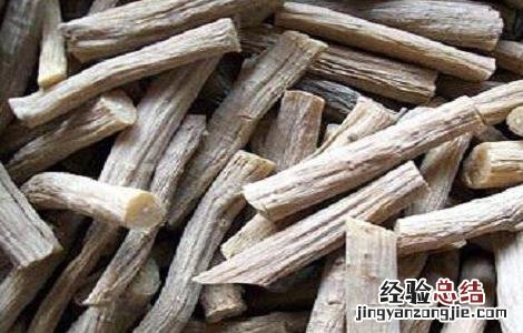 牛膝种植的注意事项视频 牛膝种植的注意事项