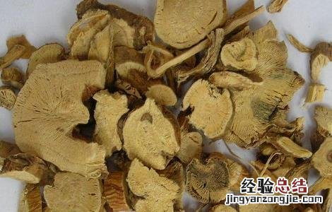苦参的种植技术 苦参的种植技术及产量