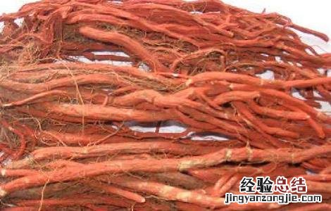 丹参的栽培技术 丹参的科学栽培方法
