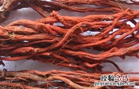 丹参的栽培技术 丹参的科学栽培方法