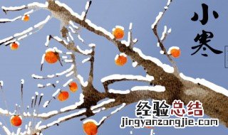 关于小寒的谚语 有关小寒的谚语介绍