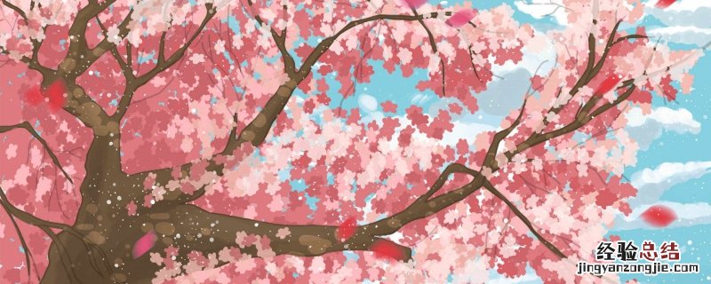 关于梅花的古诗有哪些是简单的 关于梅花的古诗有哪些