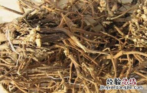 柴胡的种植时间及方法