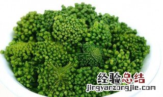 三七花的功效与作用有哪些 三七花的优点介绍