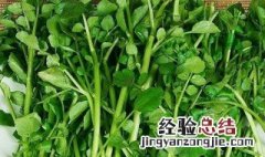 豆瓣菜是凉性的吗 关于豆瓣菜的食物属性