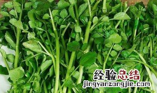 豆瓣菜是凉性的吗 关于豆瓣菜的食物属性