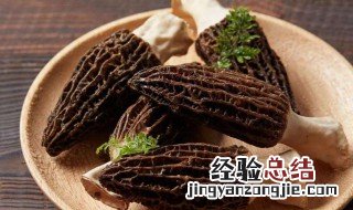 羊肚菌是发物吗 关于羊肚菌是不是发物介绍