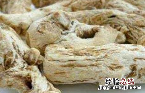 当归常见病害及防治方法视频 当归常见病害及防治方法