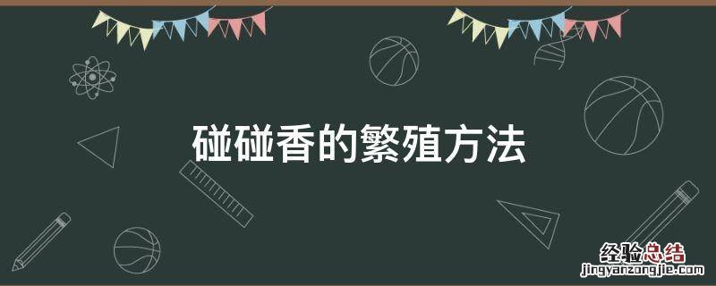 多肉碰碰香的繁殖方法 碰碰香的繁殖方法