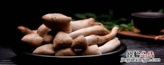 纵菌怎么种植 青纵菌怎样种植