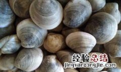 食用紫石房蛤的注意事项 食用紫石房蛤有哪些注意事项