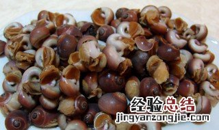 油螺的做法 怎样做油螺