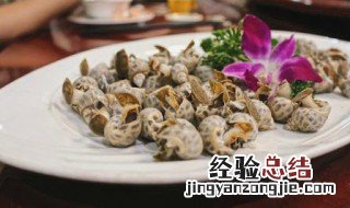 苦螺的做法 苦螺的做法与步骤