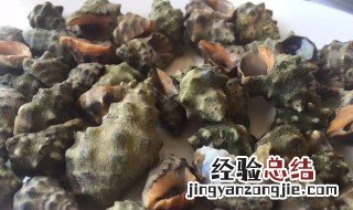食用苦螺的注意事项 食用苦螺的注意事项有哪些