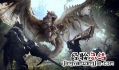 怪物猎人怎么玩?要详细的 怪物世界猎人怎么玩