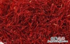 藏红花一天吃多少作用最好 藏红花每天吃多少合适