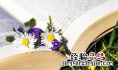 空谷足音的意思和造句 空谷足音的意思