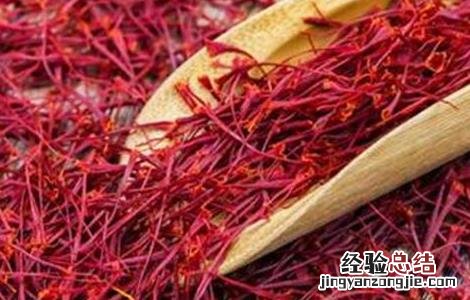 藏红花价格及真假辨别方法 藏红花价格及真假辨别方法图