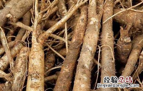 2018年种植什么药材好 今年种植什么药材好