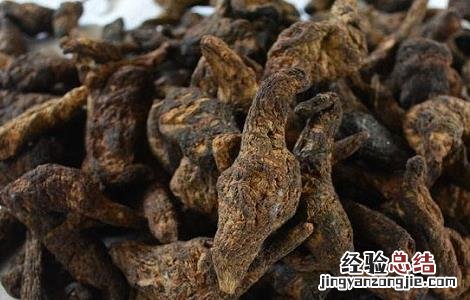 2018年种植什么药材好 今年种植什么药材好