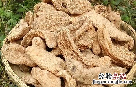 2018年种植什么药材好 今年种植什么药材好