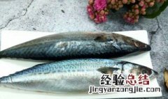 青根鱼的营养价值 青根鱼简介