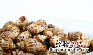 油螺的营养价值 油螺的营养价值介绍