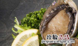 吃鲍鱼的禁忌有哪些 鲍鱼吃法禁忌