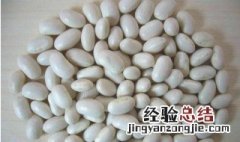 白芸豆怎么吃可以减肥 白芸豆怎么吃减肥最佳