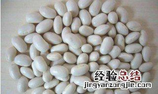 白芸豆怎么吃可以减肥 白芸豆怎么吃减肥最佳