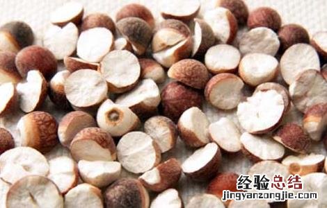 芡实在哪里买 芡实在哪里有卖的