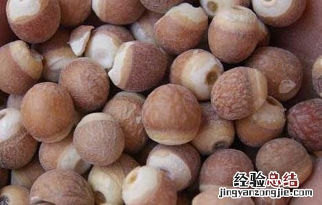 芡实在哪里买 芡实在哪里有卖的