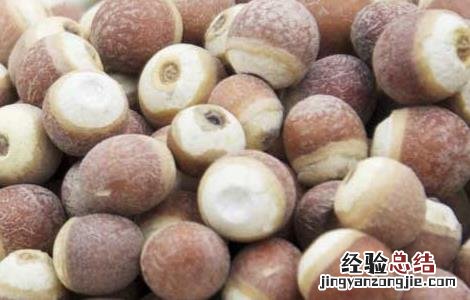 芡实在哪里买 芡实在哪里有卖的