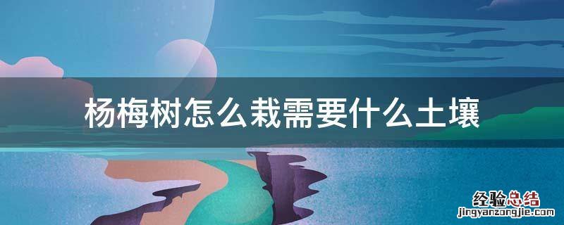 杨梅树的种植方法以及注意事项 杨梅树怎么栽需要什么土壤