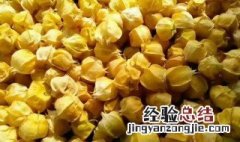 姑娘果的营养价值 盘点姑娘果的营养