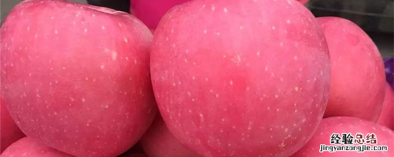 望乡红苹果品种介绍图片 望乡红苹果品种介绍