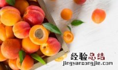 杏干和杏脯的区别是什么 关于杏干和杏脯的区别