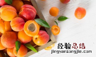 杏干和杏脯的区别是什么 关于杏干和杏脯的区别