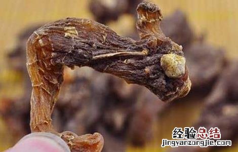 黄精是什么药材 黄精是什么药材有什么作用