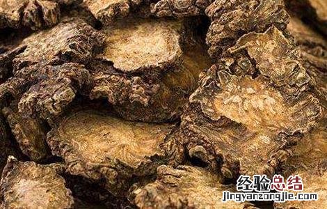 川芎价格及种植方法 川芎价格及种植方法图片