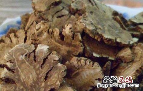川芎价格及种植方法 川芎价格及种植方法图片