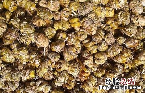 铁皮石斛是什么东西 铁皮石斛是什么东西有什么作用