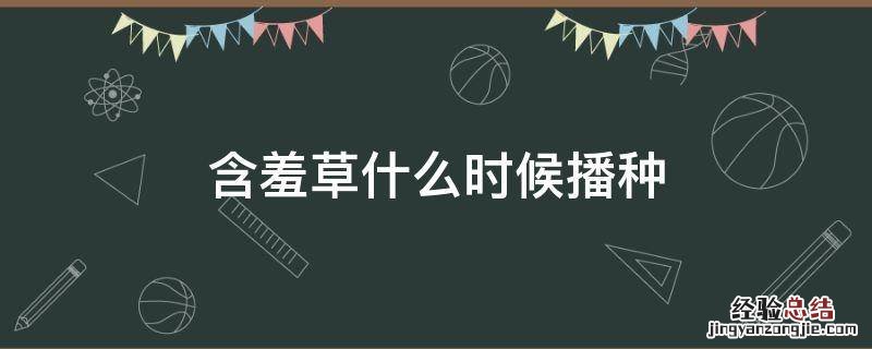 含羞草什么时候播种 含羞草什么时候播种他是怎么播种的