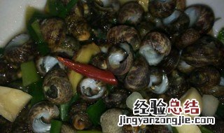 食用芝麻螺的注意事项 芝麻螺注意事项介绍