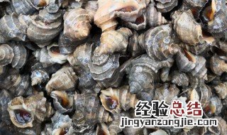 苦螺的营养价值 苦螺有哪些营养价值